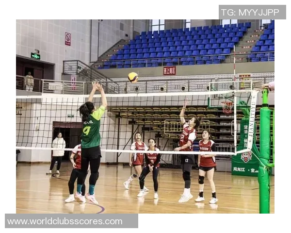 南京排球队意识变革引发热议助力团队精神与竞技水平提升