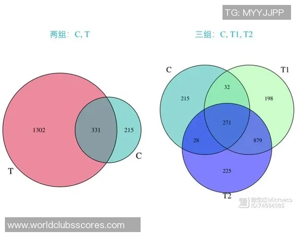 埃及与科威特足球赛技术统计全面分析与对比解读